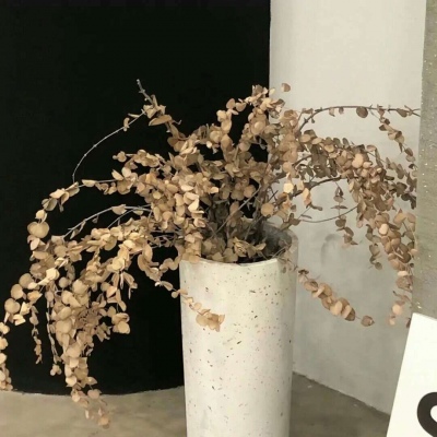 原创兽设世界观设计思路FurryQQ群